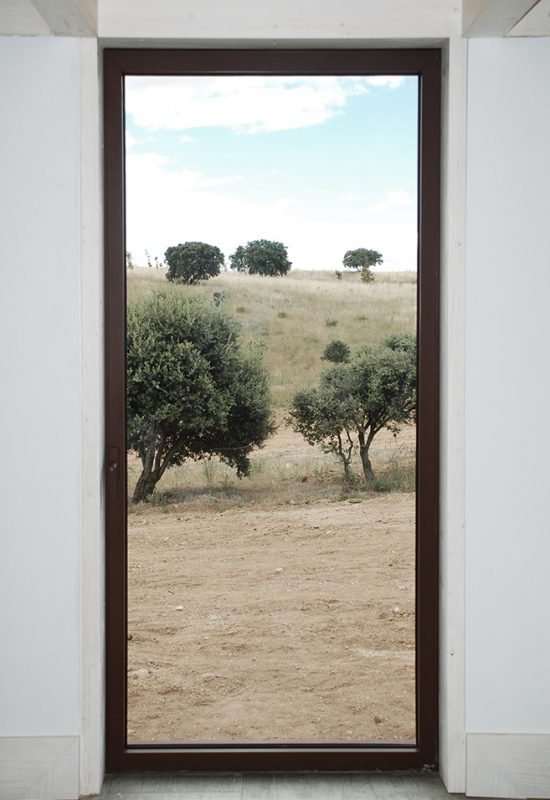 DSC_0061 ????????????????????????????????????