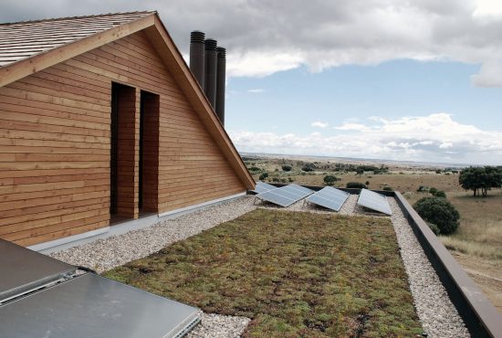 DSC_0251 DSS DSC_0251 DSS